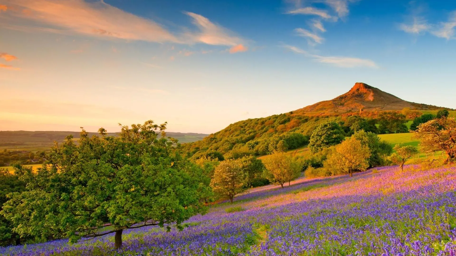 Sunny Cottage Bulmer United Kingdom